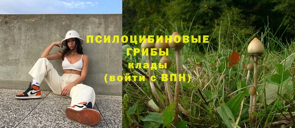 МДПВ Абаза