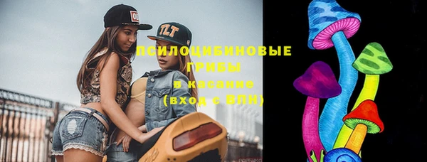 МДПВ Абаза