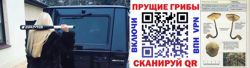 где продают   Советск  Псилоцибиновые грибы прущие грибы 
